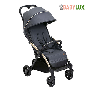  Xe Đẩy Gấp Gọn Tự Động Chicco Goody Xplus