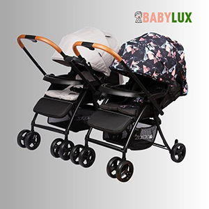 Xe Đẩy Đôi Hai Chiều Lắp Ghép Zaracos Oral